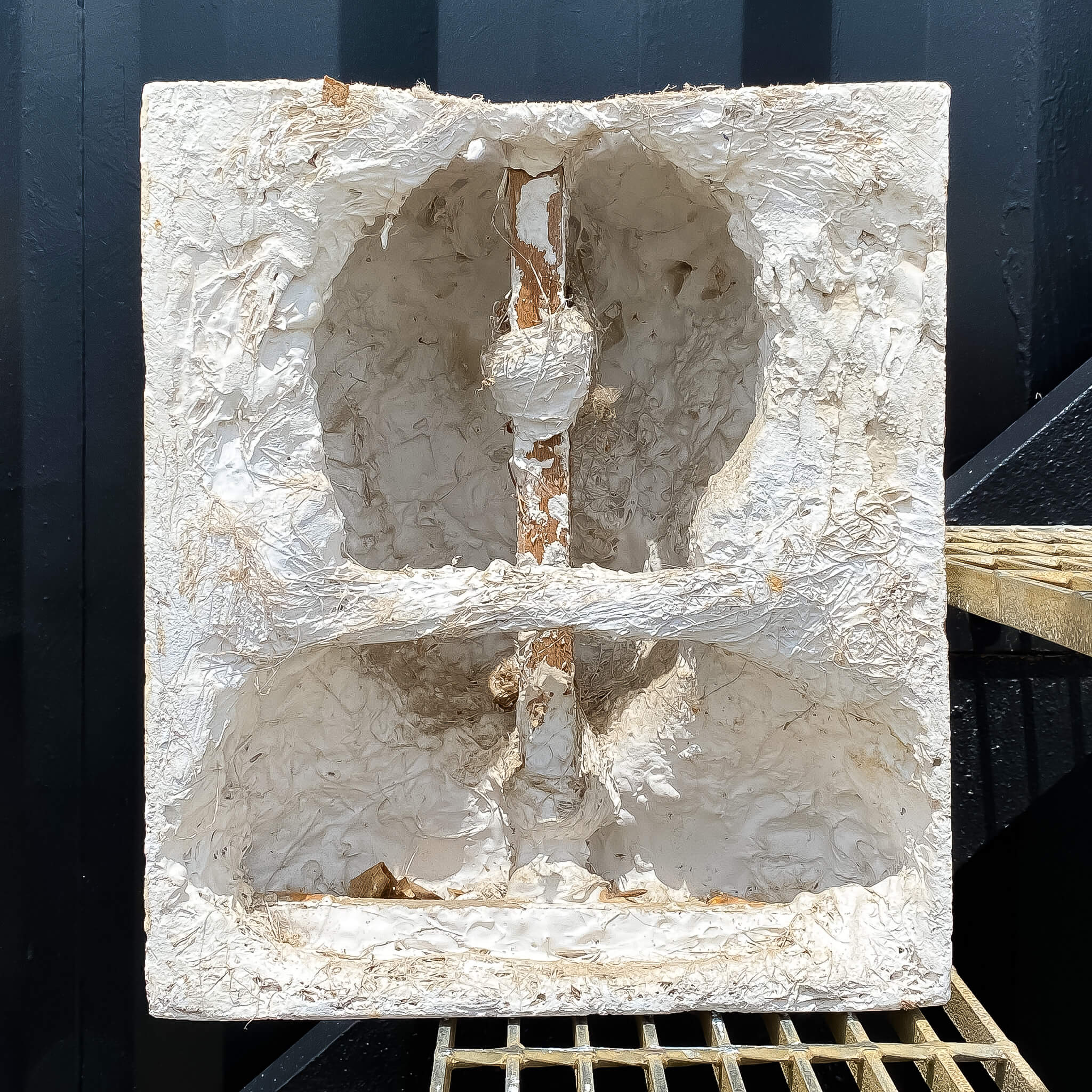 Antique Auckland Courthouse Bust