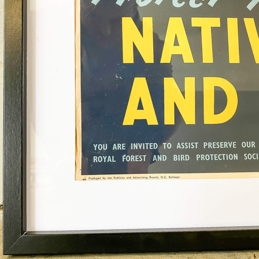 A Vintage Educational Poster