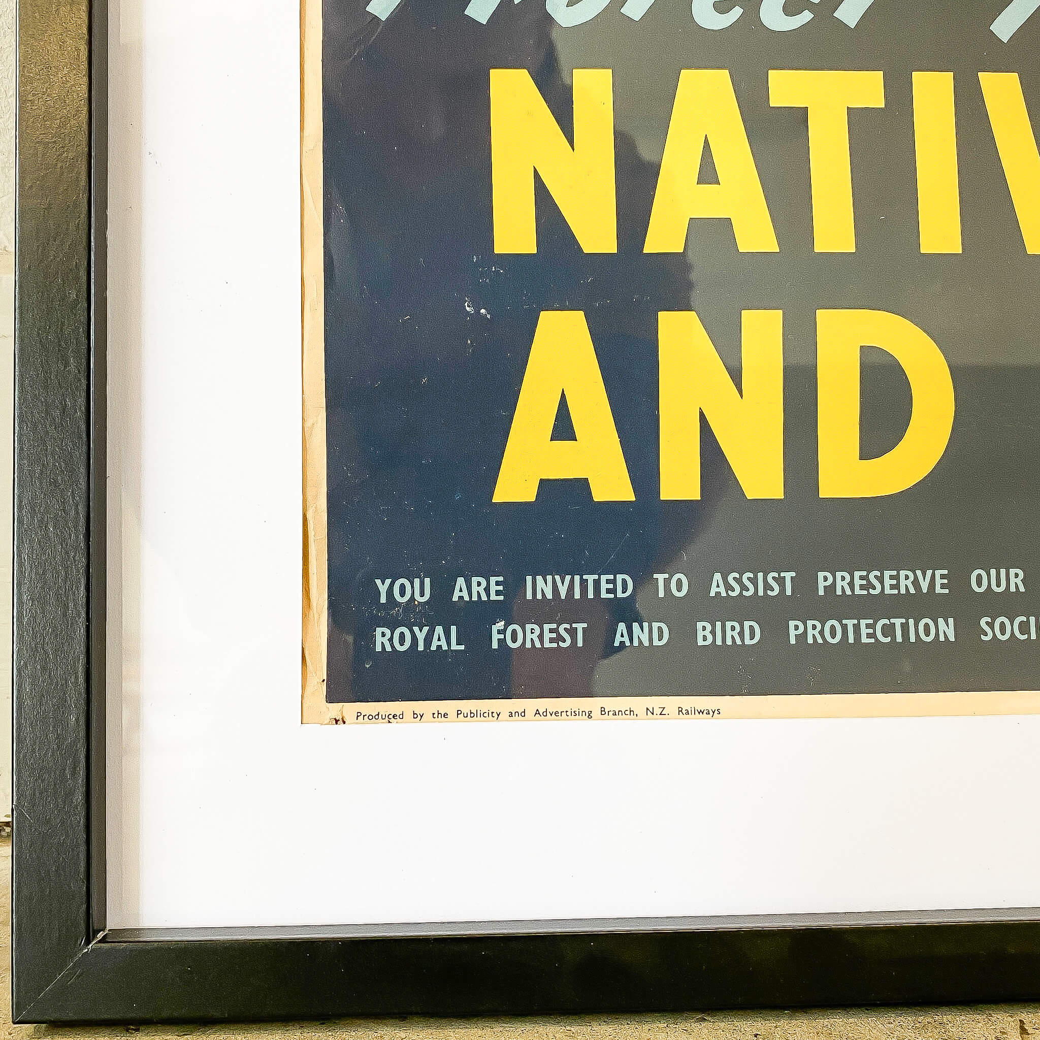 A Vintage Educational Poster