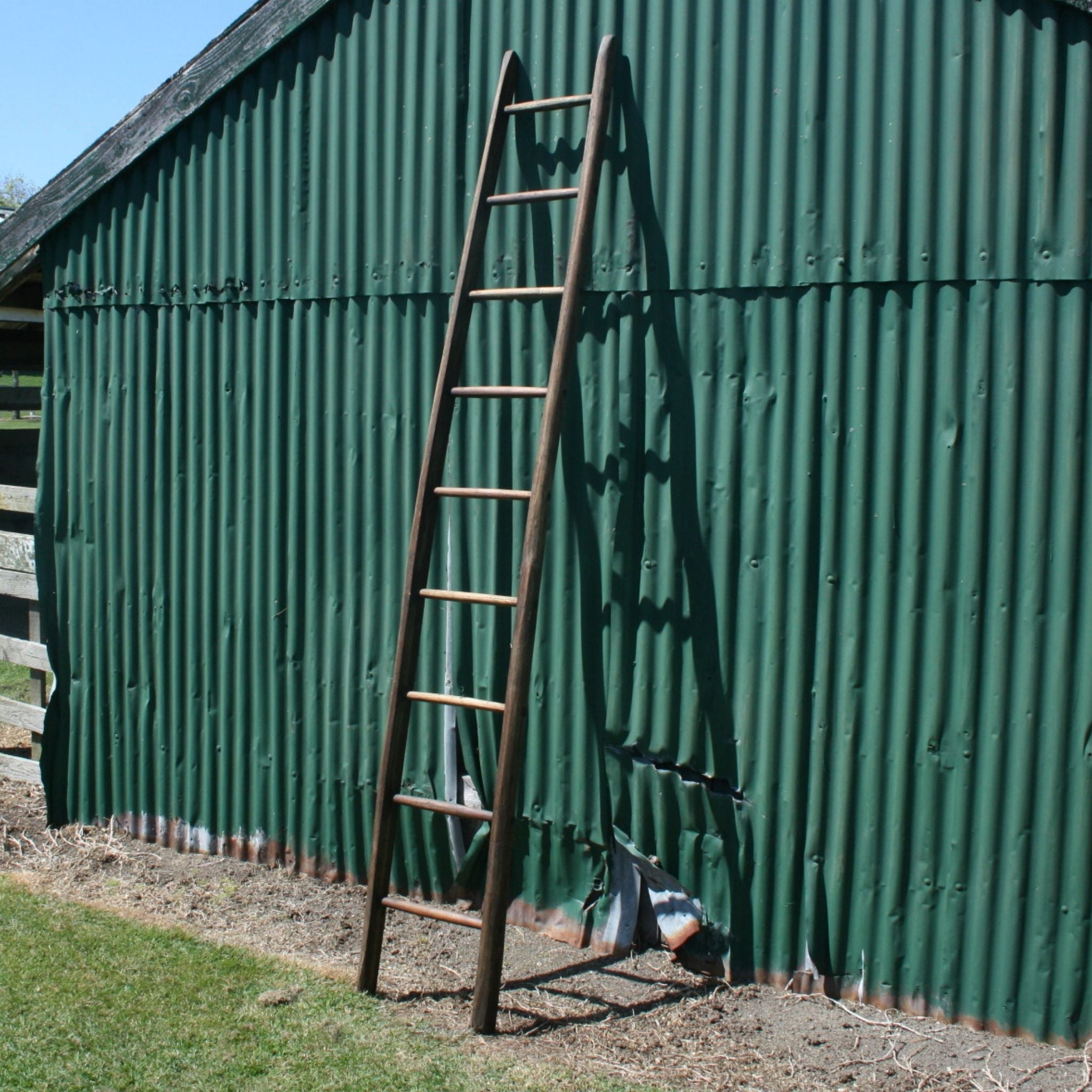 Oak Fruit Picking Ladder Auckland Decorative European and New Zealand Antiques, Furniture, Tables, Decor