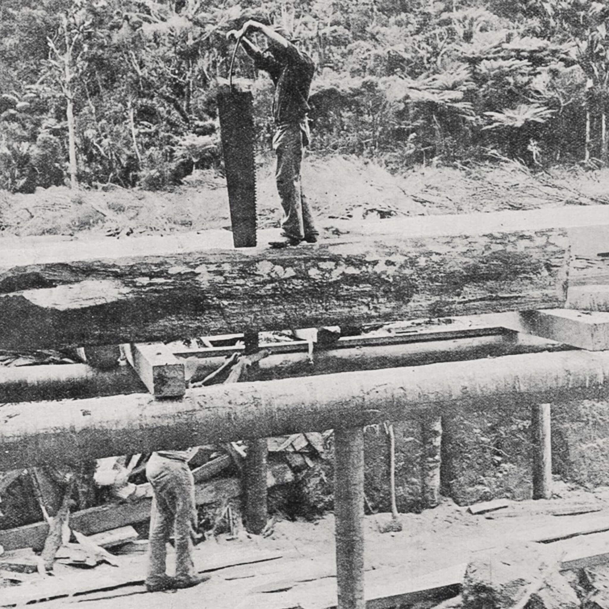 Workers with pit saw