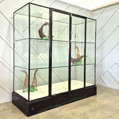Oak Display Case