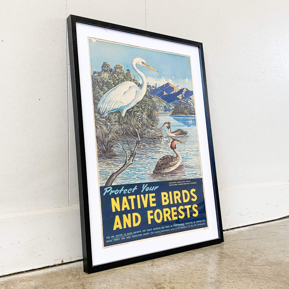 A Vintage Educational Poster