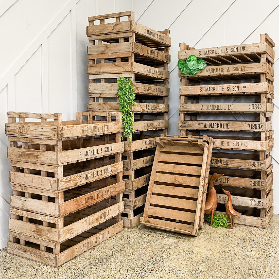 Vintage Seeding Tray