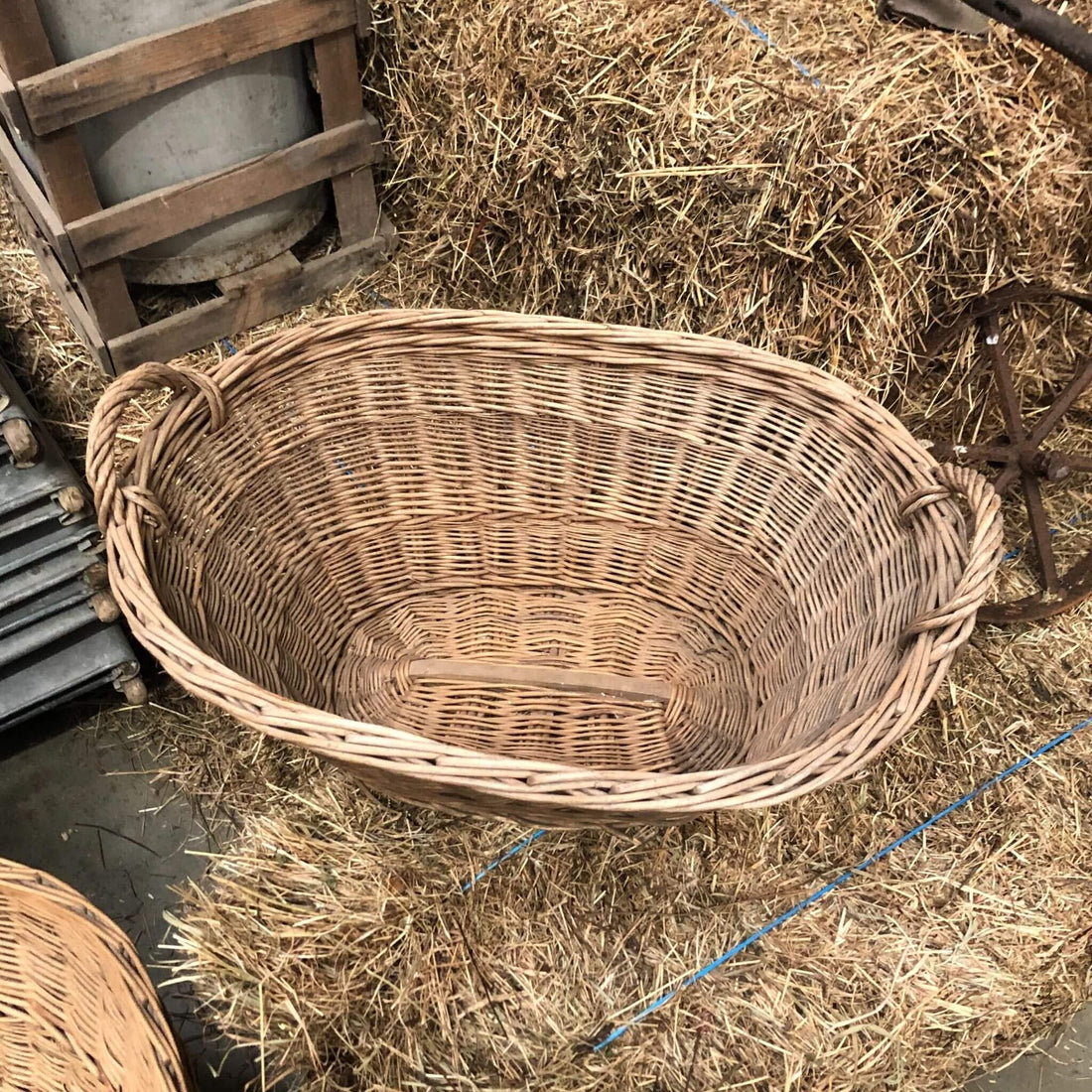 Inside a wicker basket