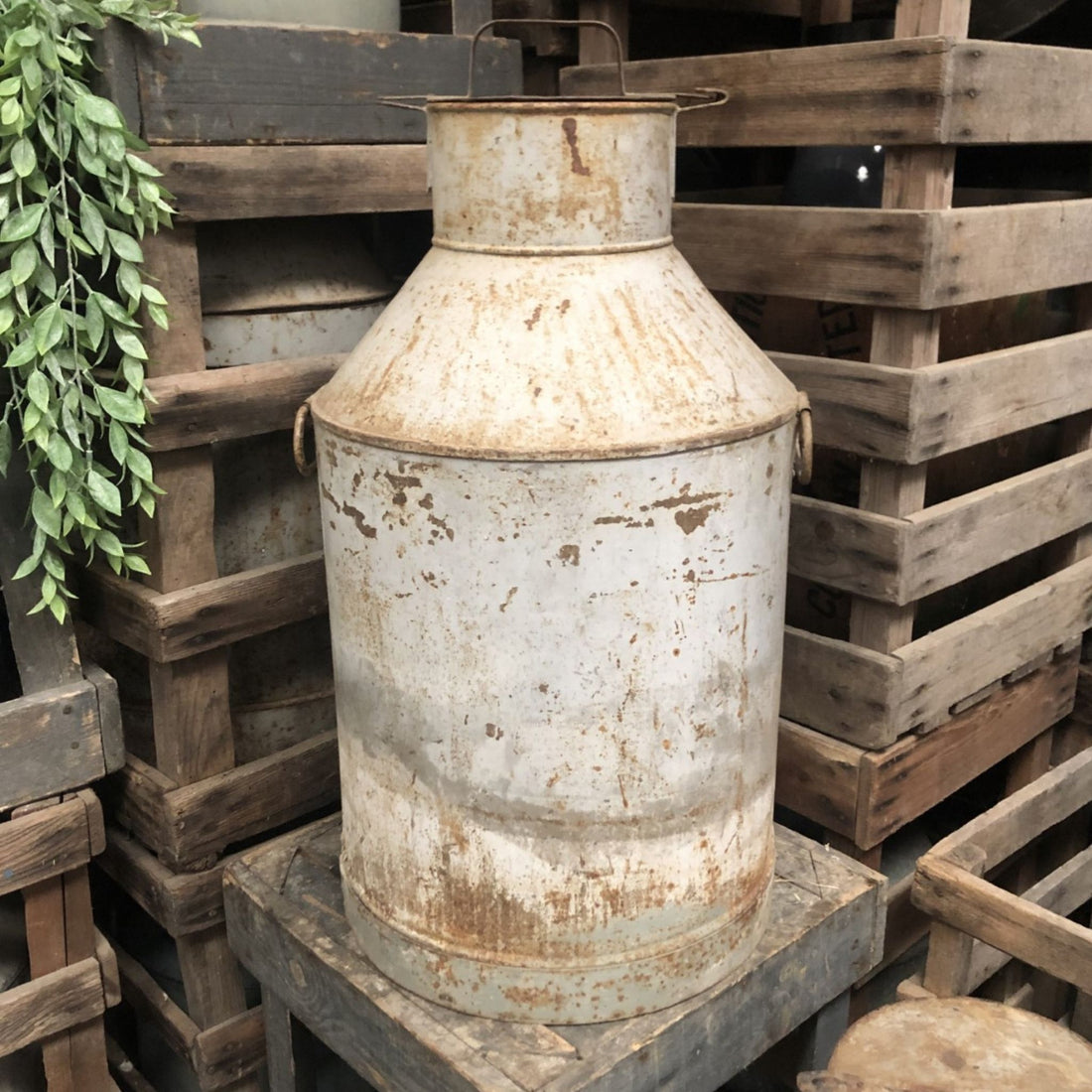 A Vintage farmhouse cream or milk can