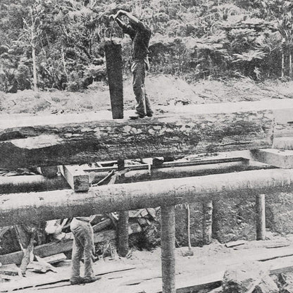 Workers with pit saw 